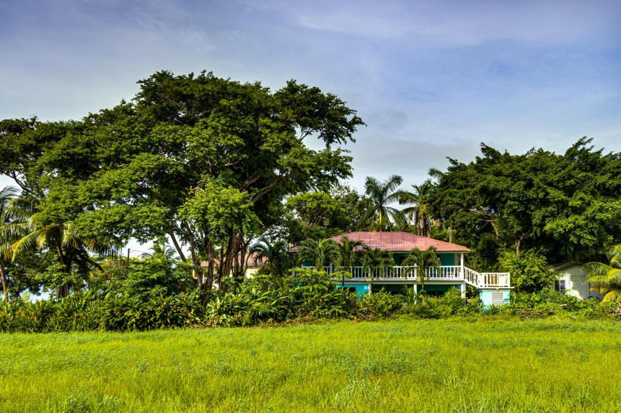 The Sea Glass Inn Placencia Exterior foto